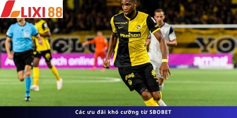 Các ưu đãi khó cưỡng
