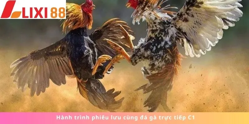 Kèo Phạt Đền 5 Hành trình phiêu lưu