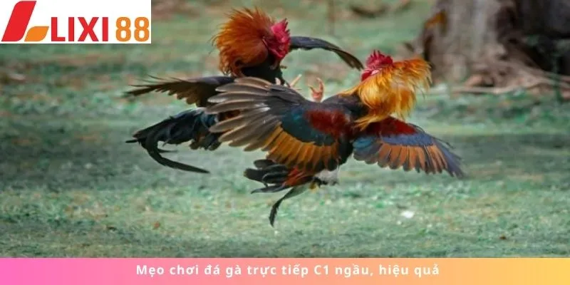 Kèo Phạt Đền 7 Mẹo chơi ngầu, hiệu quả