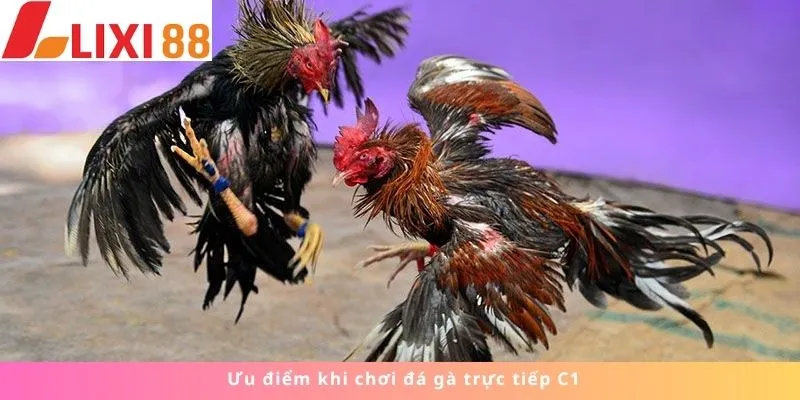 Kèo Phạt Đền 6 Ưu điểm khi chơi