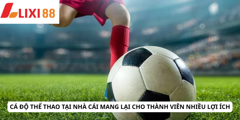 Thể Thao 5 Cá độ thể thao tại nhà cái mang lại cho thành viên nhiều lợi ích