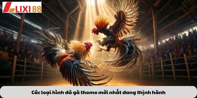 Kèo Phạt Đền 6 Các loại hình đá gà thomo mới nhất đang thịnh hành
