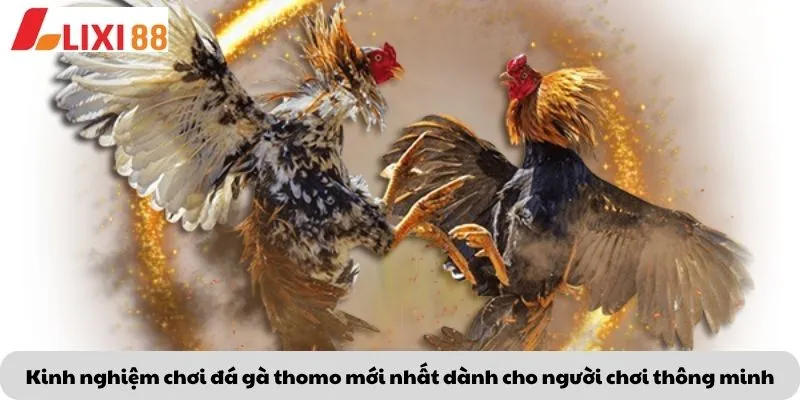 Kèo Phạt Đền 7 Kinh nghiệm chơi đá gà thomo mới nhất dành cho người chơi thông minh