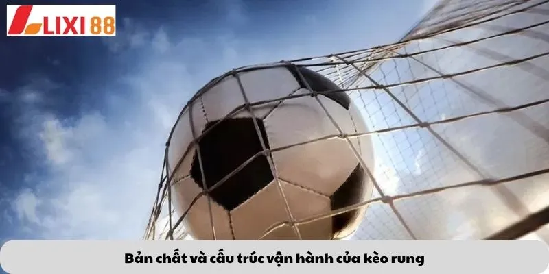 Kèo Lội Ngược Dòng 5 Bản chất và cấu trúc vận hành của kèo rung