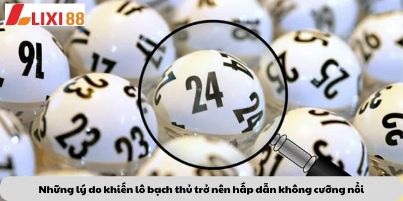 Những lý do khiến lô bạch thủ trở nên hấp dẫn không cưỡng nổi