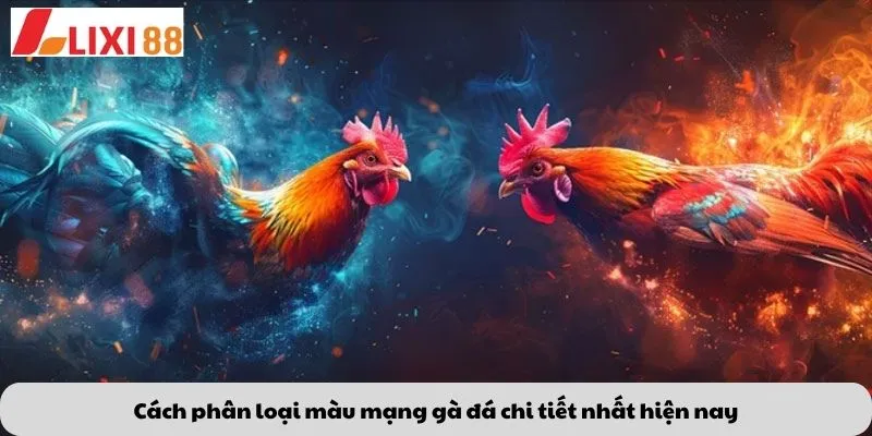 Cách phân loại màu mạng gà đá chi tiết nhất hiện nay