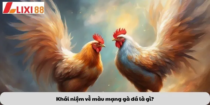 Khái niệm về màu mạng gà đá là gì?