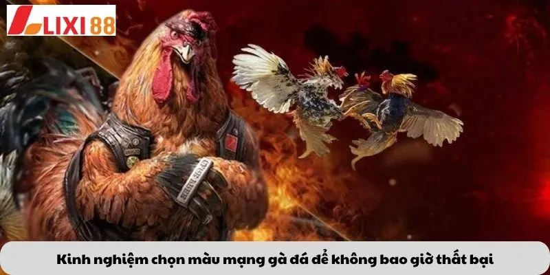 Kinh nghiệm chọn màu mạng gà đá để không bao giờ thất bại