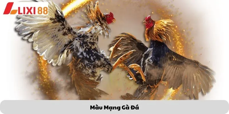 Màu mạng gà đá