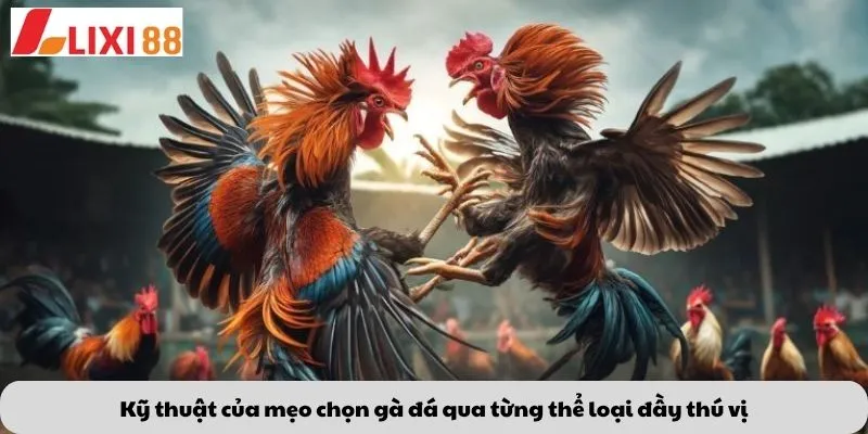 Kèo Phạt Đền 6 Kỹ thuật của mẹo chọn gà đá qua từng thể loại đầy thú vị